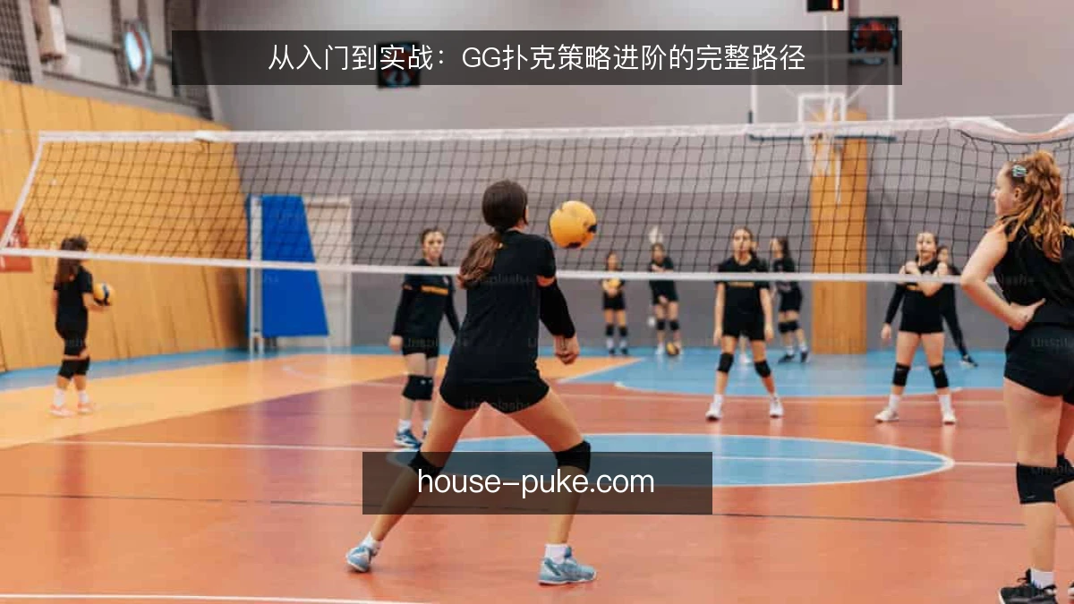 从入门到实战：GG扑克策略进阶的完整路径