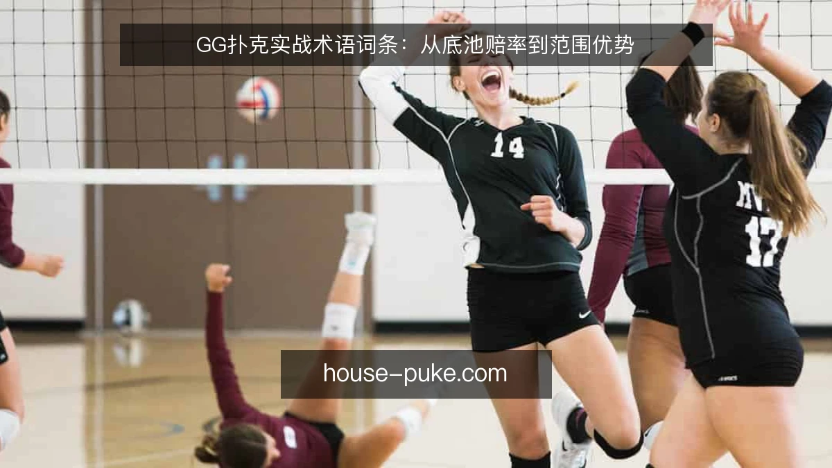GG扑克实战术语词条：从底池赔率到范围优势