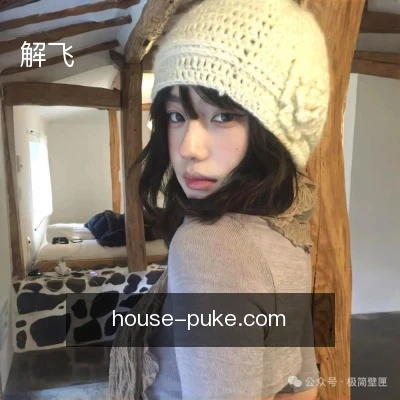 解飞
