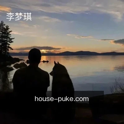 李梦琪